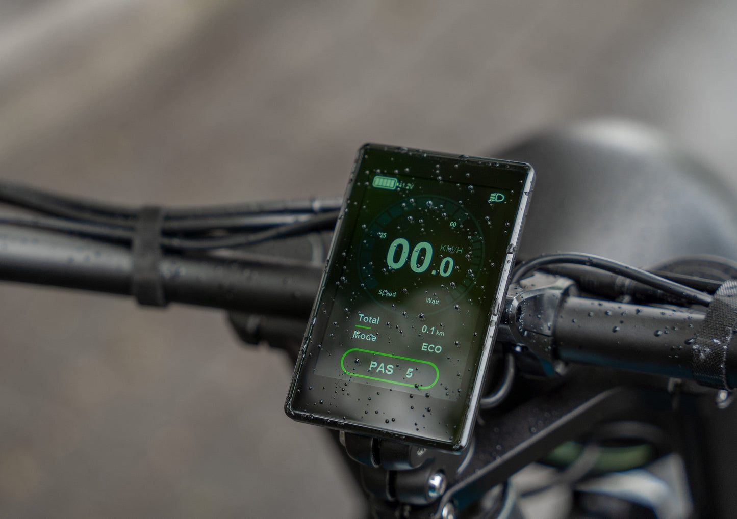 E-Bike im Motorrad-Look mit Bedienelement