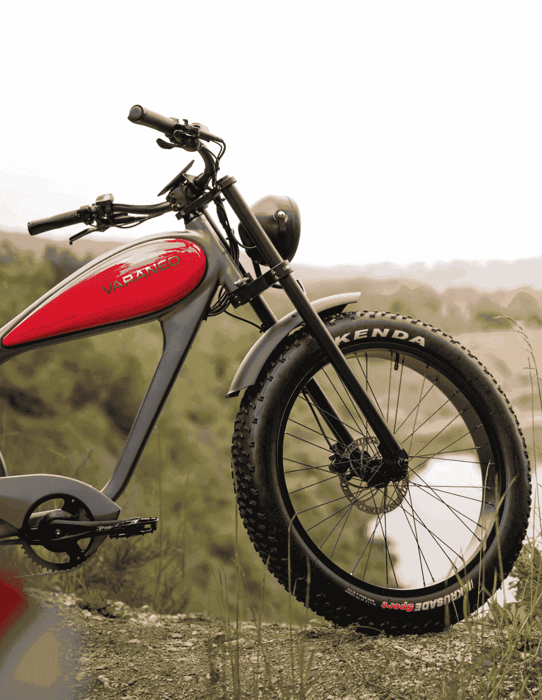 E-Bike im Motorrad-Look draussen mit der vorderen Seite